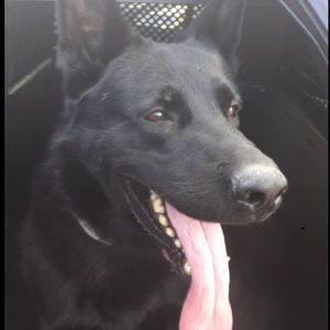 Meet your Posher, Greg